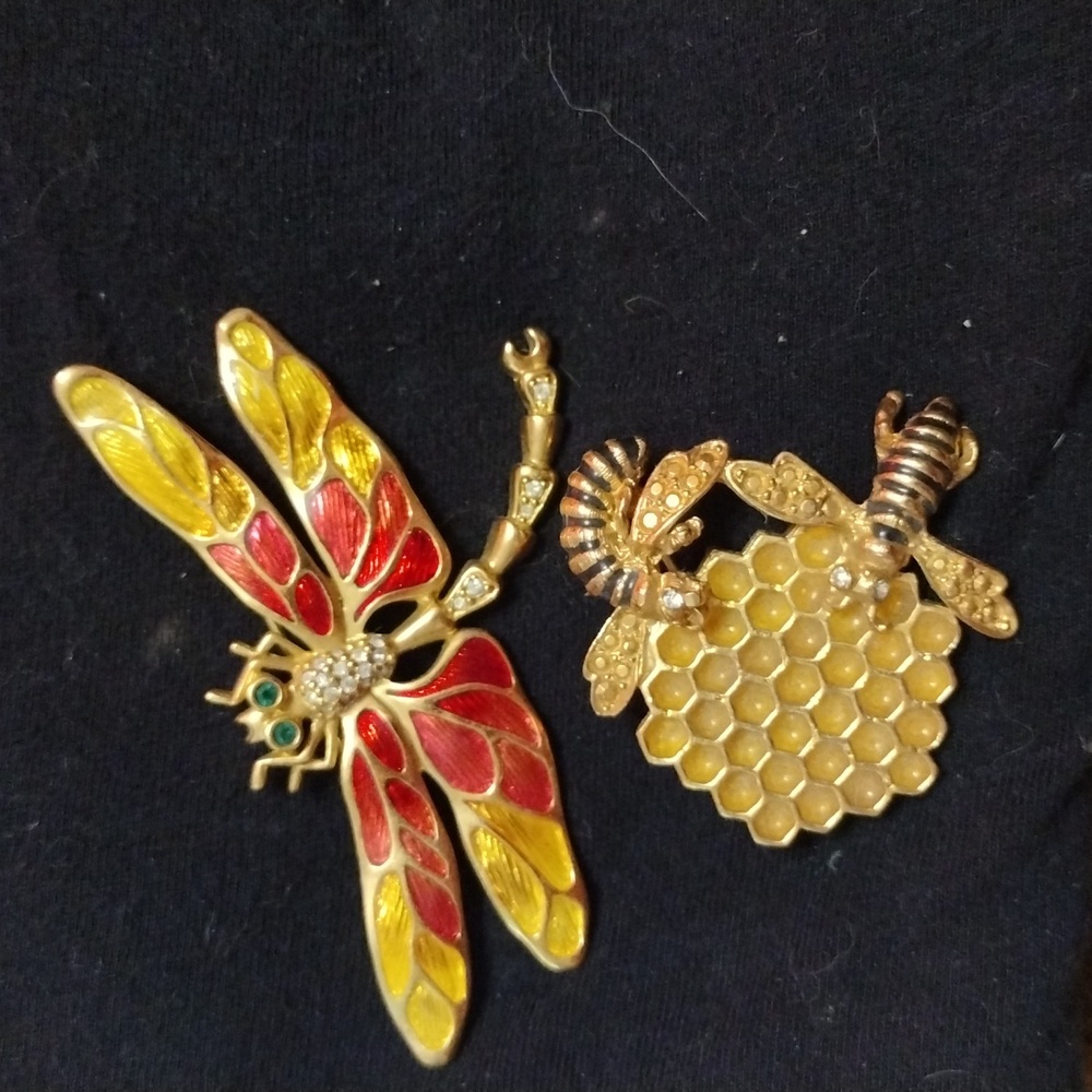 Dragon fly and a honeycomb bee brooch